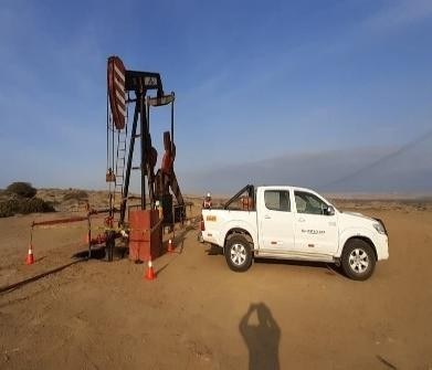 Servicios en campo